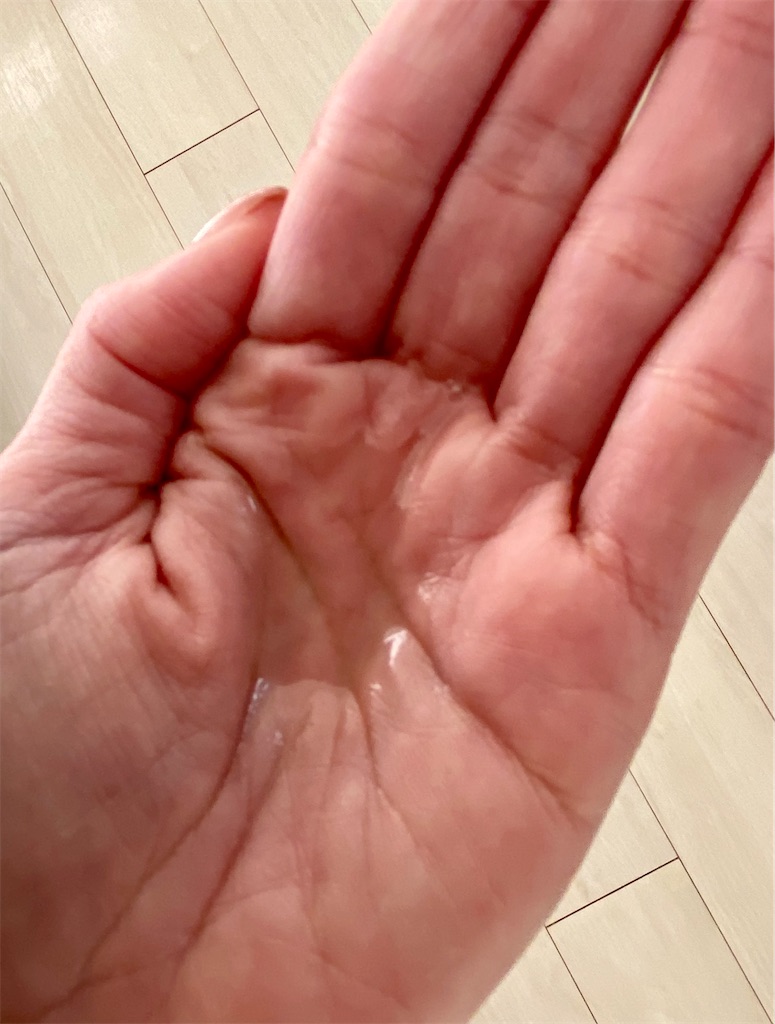 f:id:apple8383:20220208230355j:plain