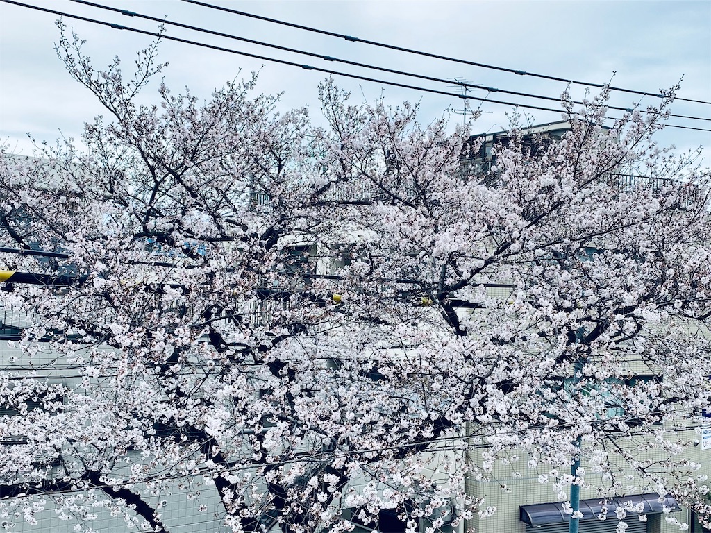 f:id:apple8383:20220328143218j:image f:id:apple8383:20220328143218j:image