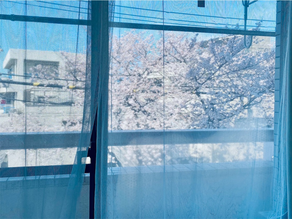 f:id:apple8383:20220328143235j:image f:id:apple8383:20220328143235j:image