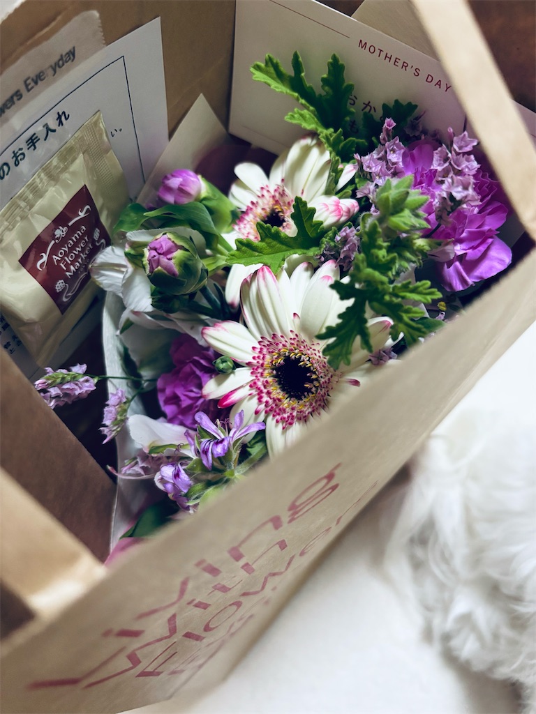 f:id:apple8383:20250511225315j:image