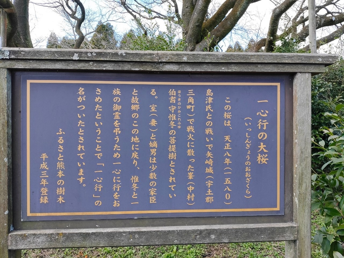 f:id:apple_bee:20200522021654j:plain f:id:apple_bee:20200522021654j:plain