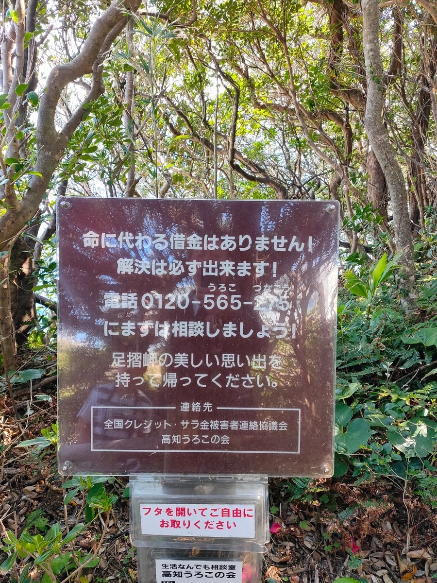 f:id:apple_bee:20200806004235j:plain