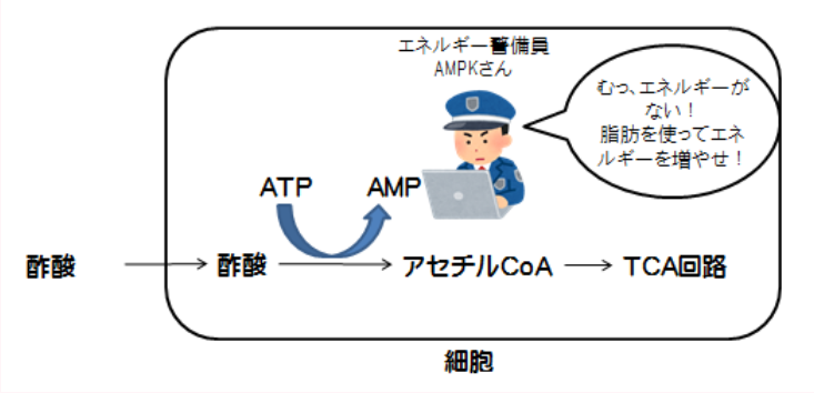 f:id:applebonvoyage:20180109205715p:plain f:id:applebonvoyage:20180109205715p:plain