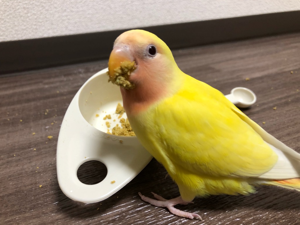 f:id:applele:20190408235209j:plain