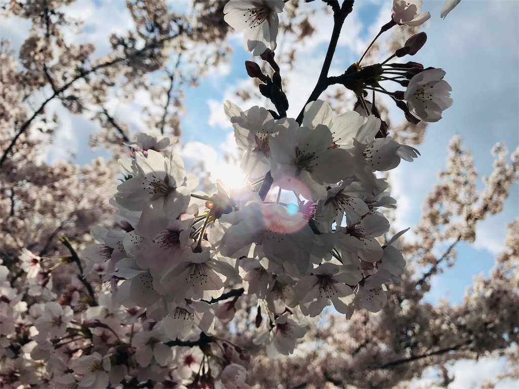 f:id:applemon:20190414040627j:image