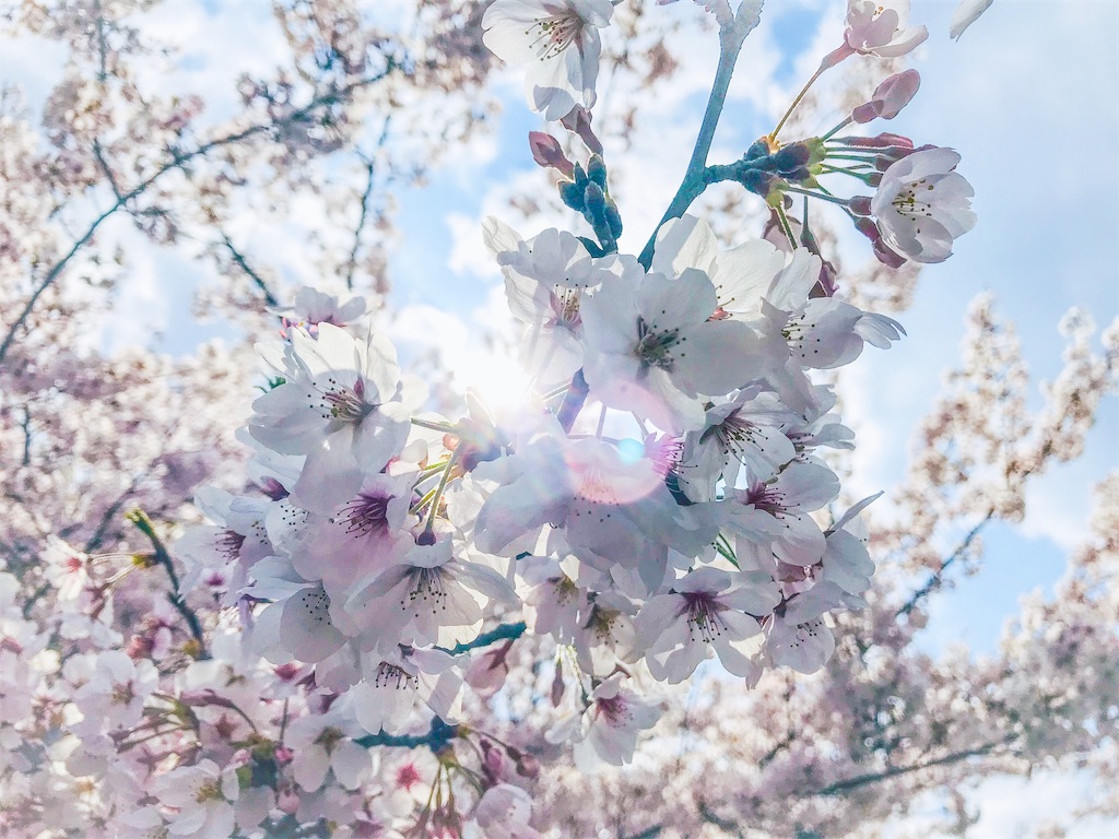 f:id:applemon:20190414040914j:image
