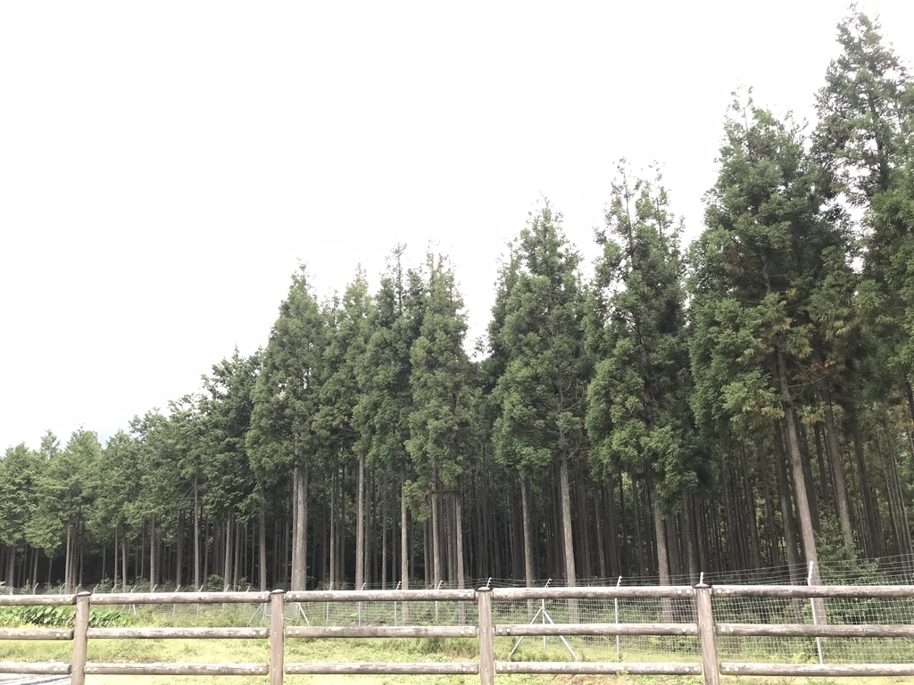 f:id:appleppp:20180930135810j:plain f:id:appleppp:20180930135810j:plain