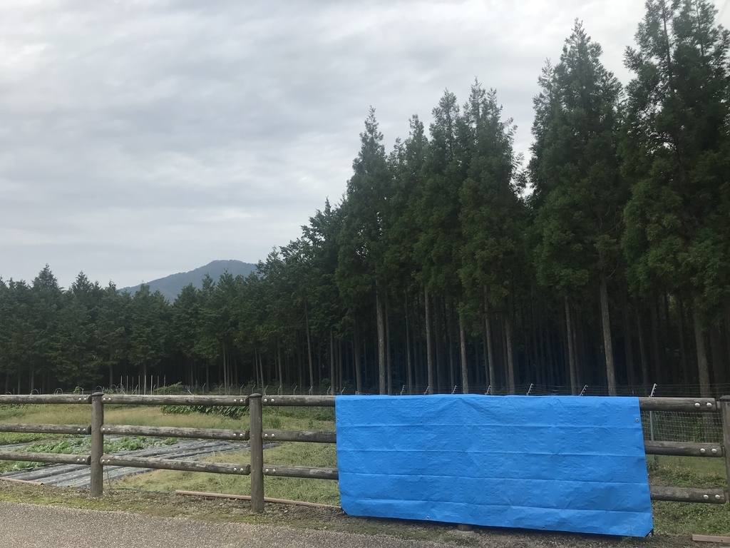 f:id:appleppp:20180930154114j:plain f:id:appleppp:20180930154114j:plain