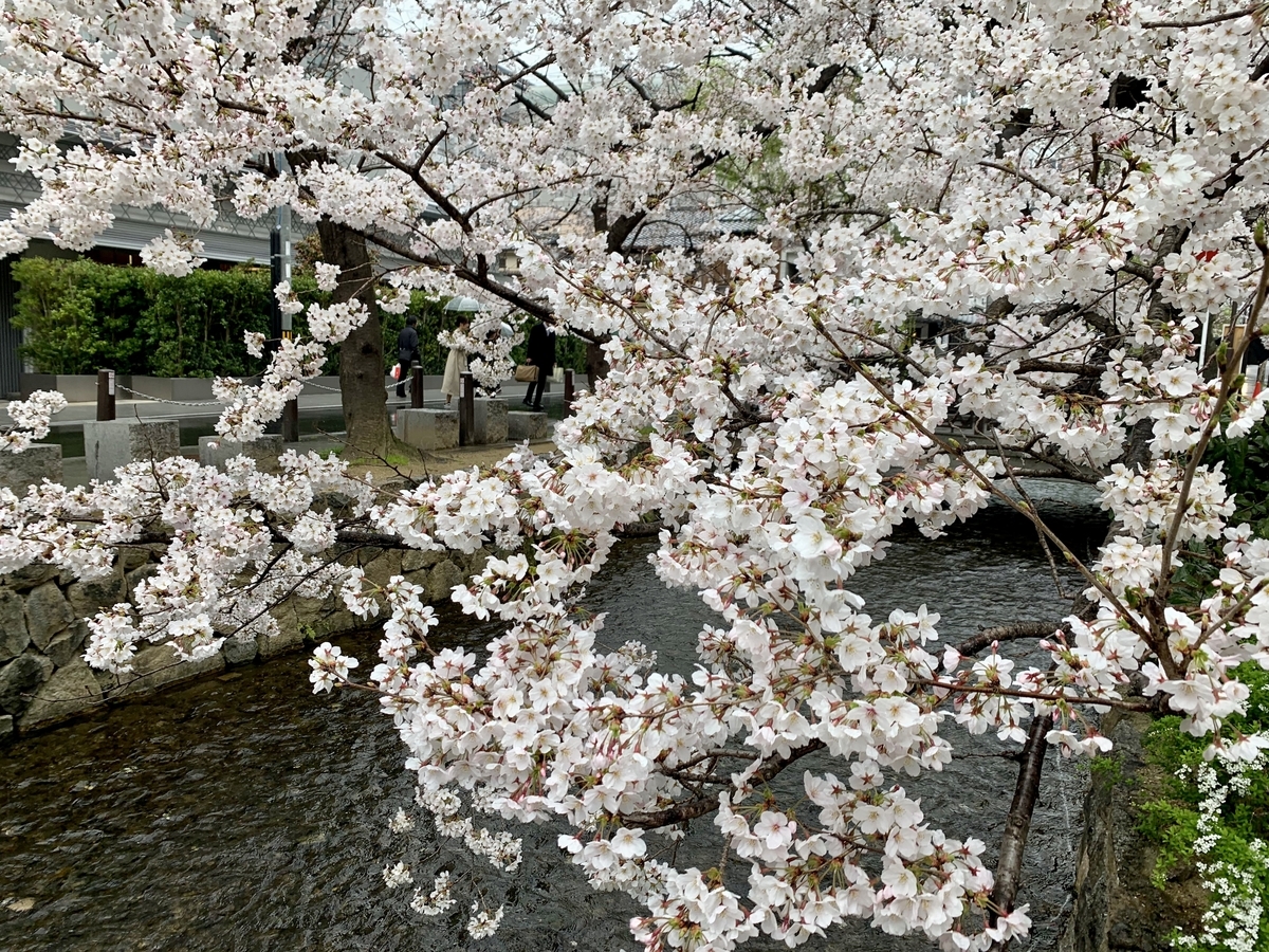 f:id:appppppple:20190405234932j:plain f:id:appppppple:20190405234932j:plain