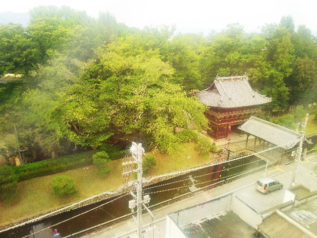 f:id:apr-sappy:20180717174036j:plain f:id:apr-sappy:20180717174036j:plain