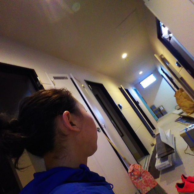 f:id:apr-sappy:20181217232008j:plain f:id:apr-sappy:20181217232008j:plain