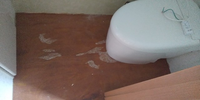 f:id:apr-sappy:20190626222359j:plain