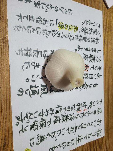 f:id:apr-sappy:20220617232336j:image f:id:apr-sappy:20220617232336j:image