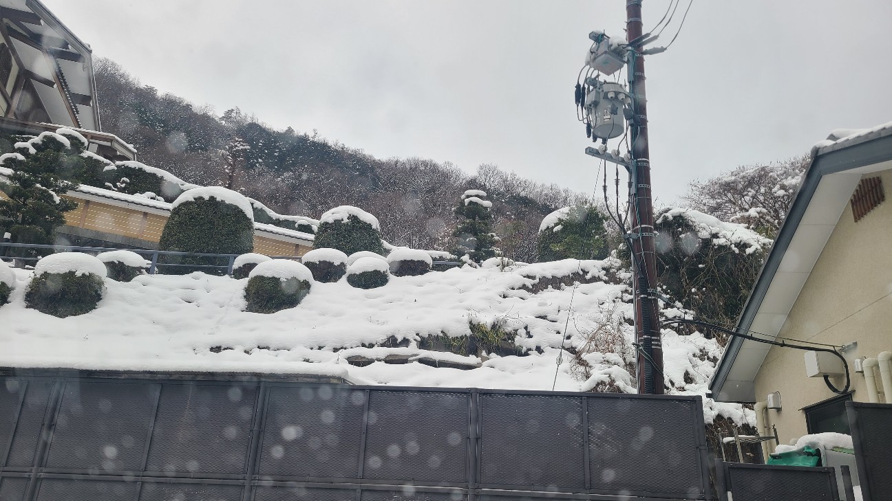 f:id:apr-sappy:20260218090951j:image