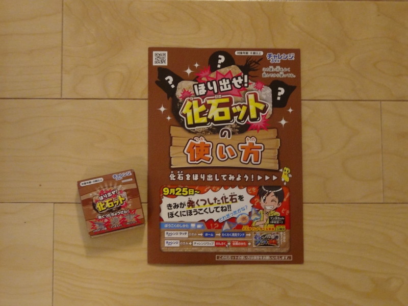 化石ット
