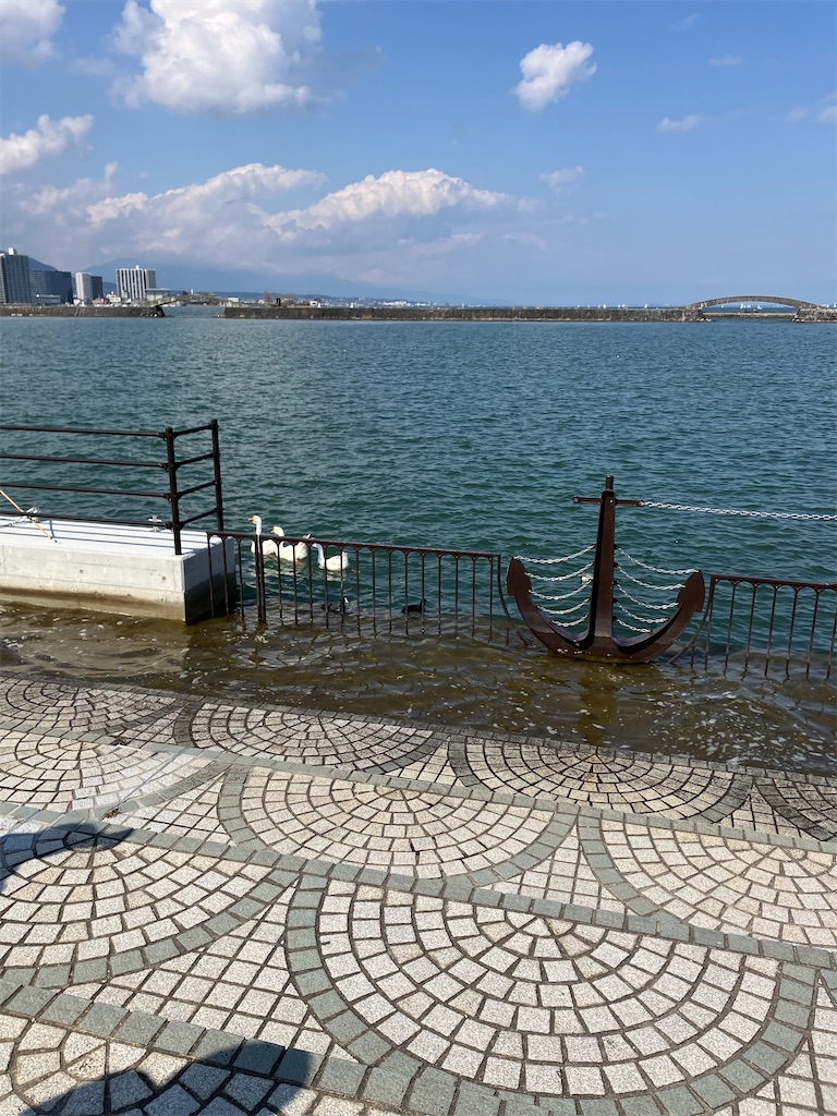 f:id:apricot_plum:20260430230605j:image f:id:apricot_plum:20260430230605j:image