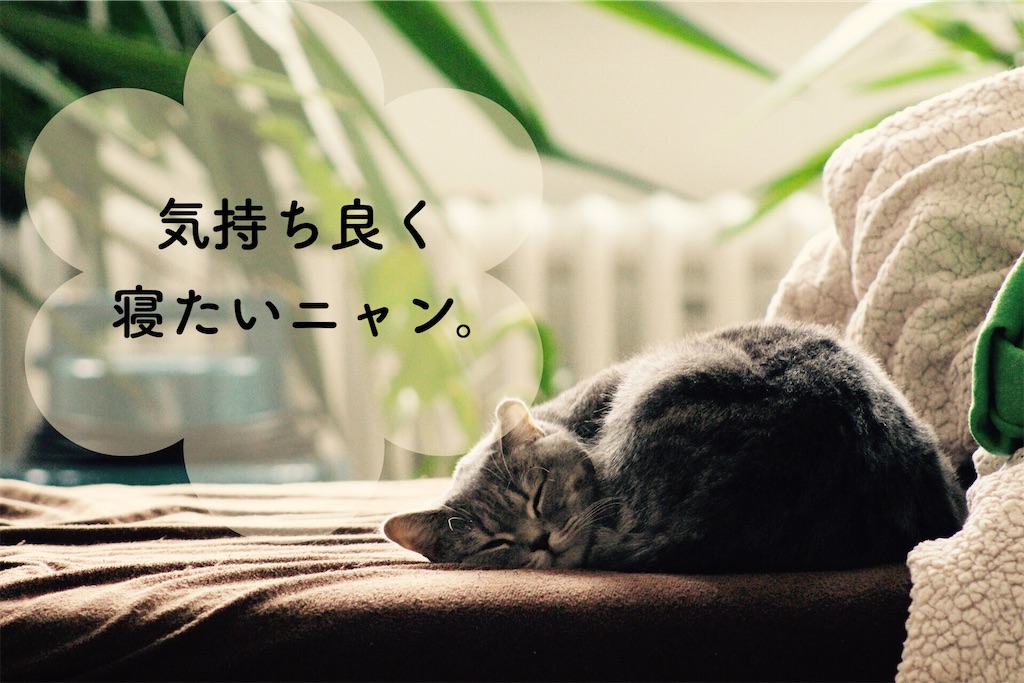 f:id:apricotberry:20200603061558j:image
