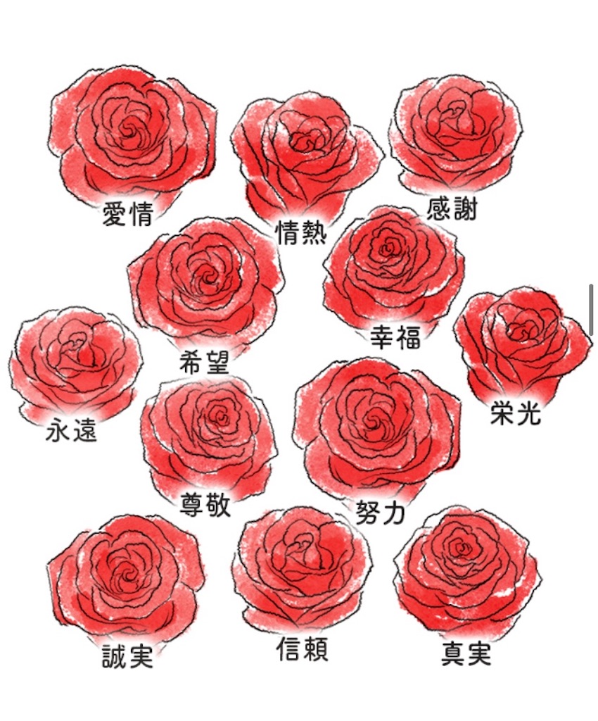 f:id:apricottree0105:20210710131332j:image