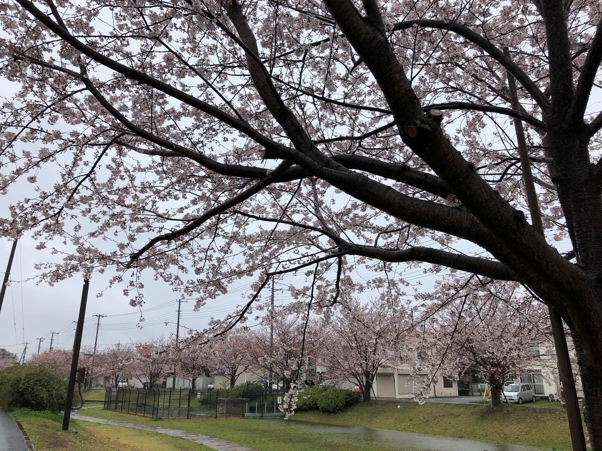 f:id:apron2019:20200329214946j:plain f:id:apron2019:20200329214946j:plain