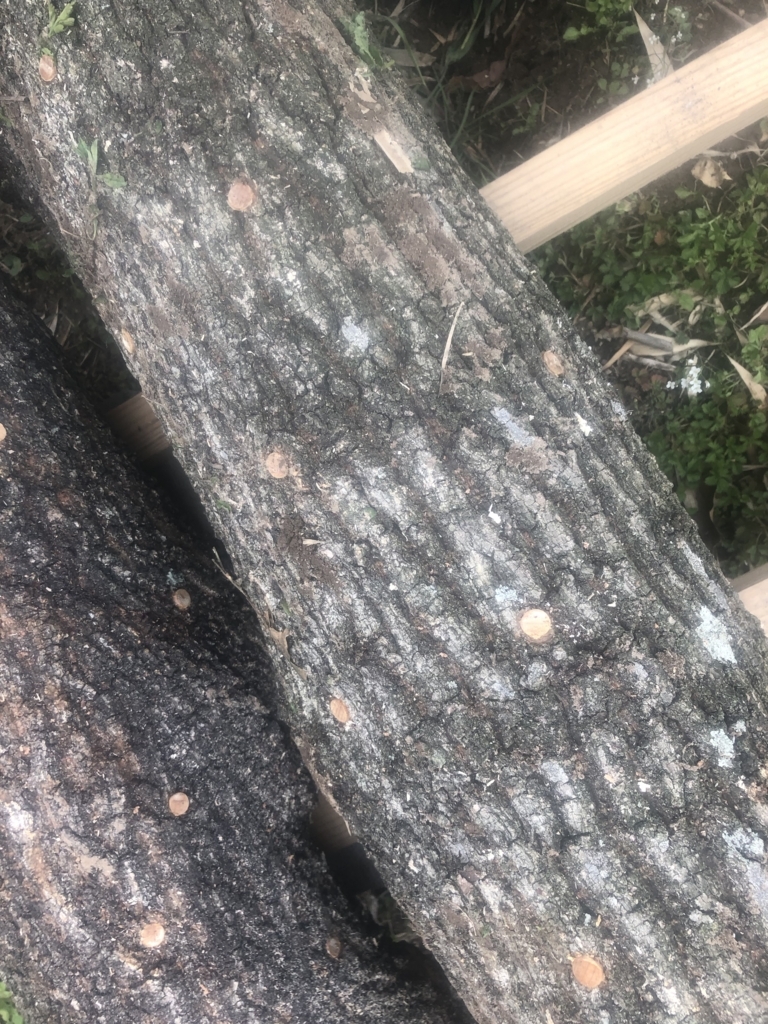 f:id:apronhair:20180403175612j:plain f:id:apronhair:20180403175612j:plain