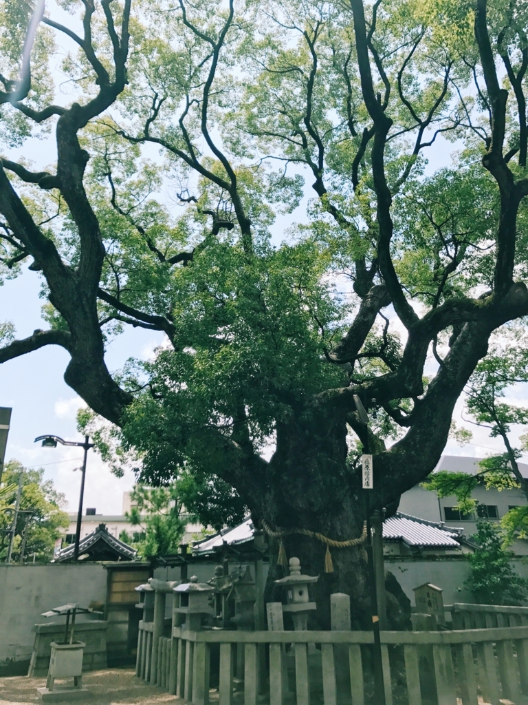 f:id:apros711:20170814235835j:plain