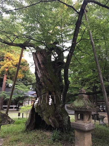 f:id:apros711:20180704134105j:image