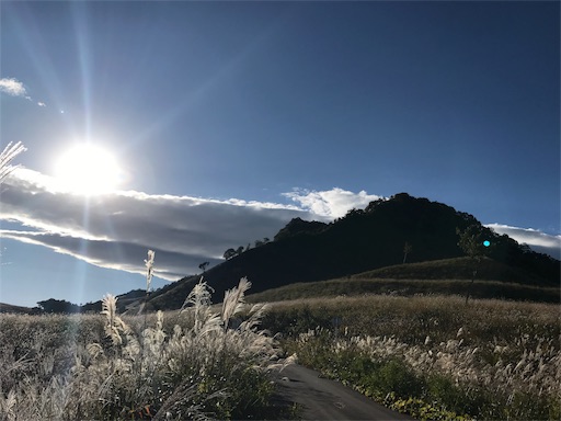 f:id:apros711:20190312001042j:image