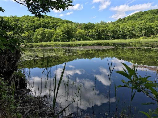 f:id:apros711:20190312002057j:image