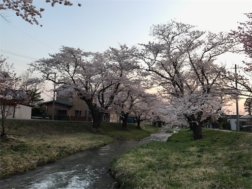 f:id:apros711:20190312002643j:image