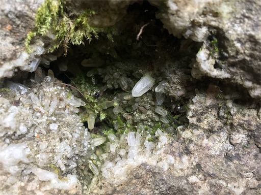 f:id:apros711:20190921110906j:image