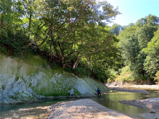 f:id:apros711:20191008124109j:image