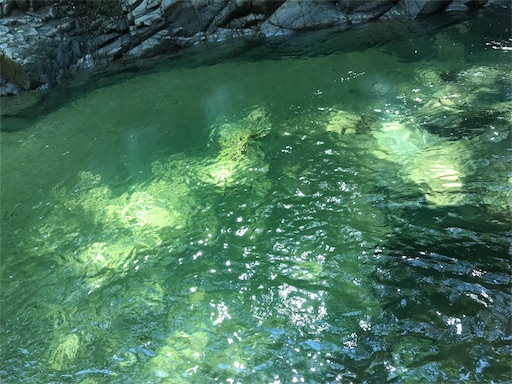 f:id:apros711:20191008124127j:image