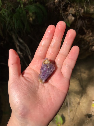 f:id:apros711:20191008124426j:image