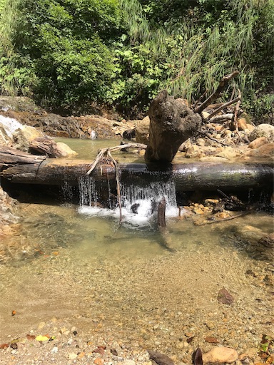 f:id:apros711:20191008124456j:image