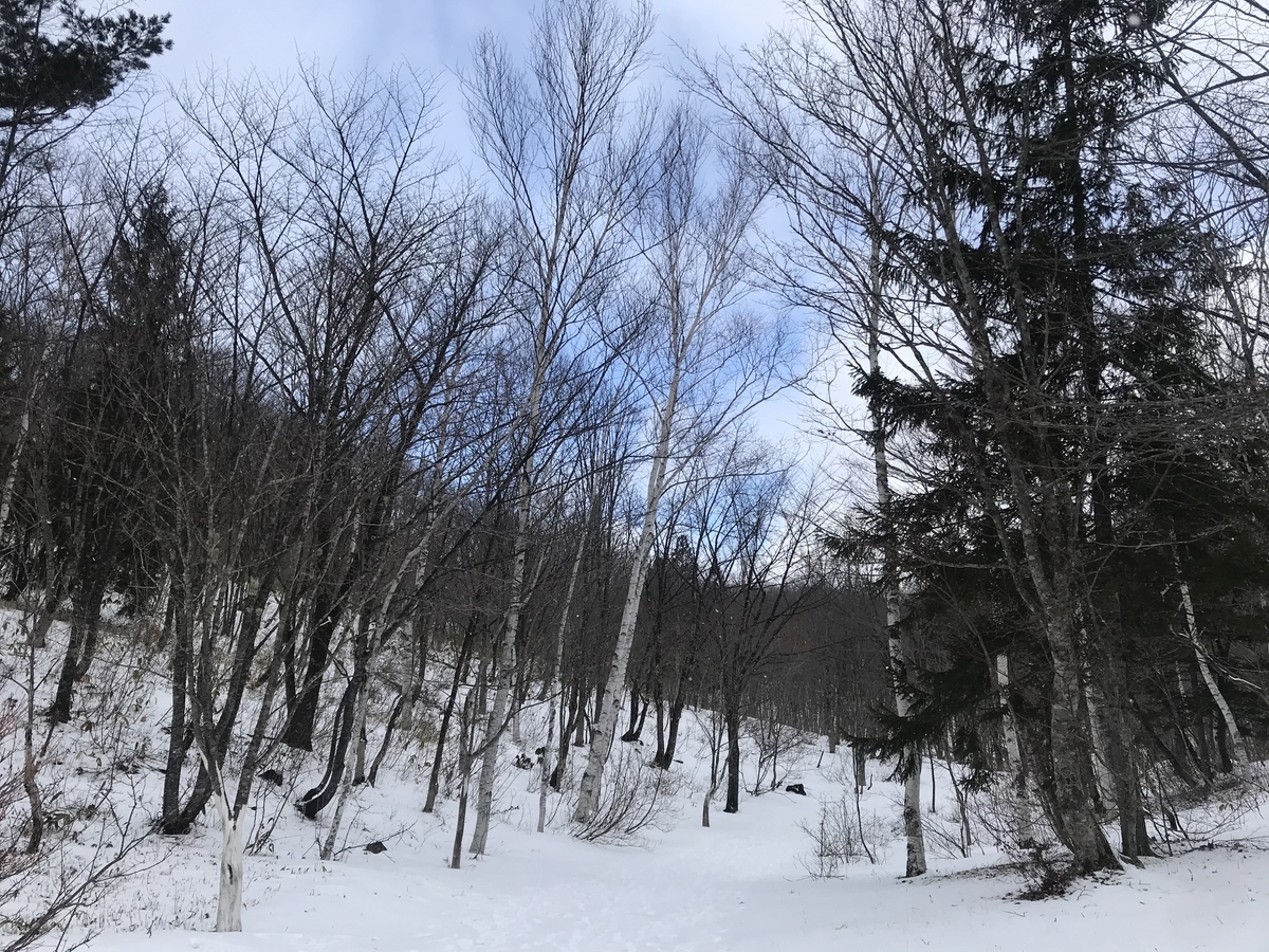 f:id:apros711:20200204164337j:plain