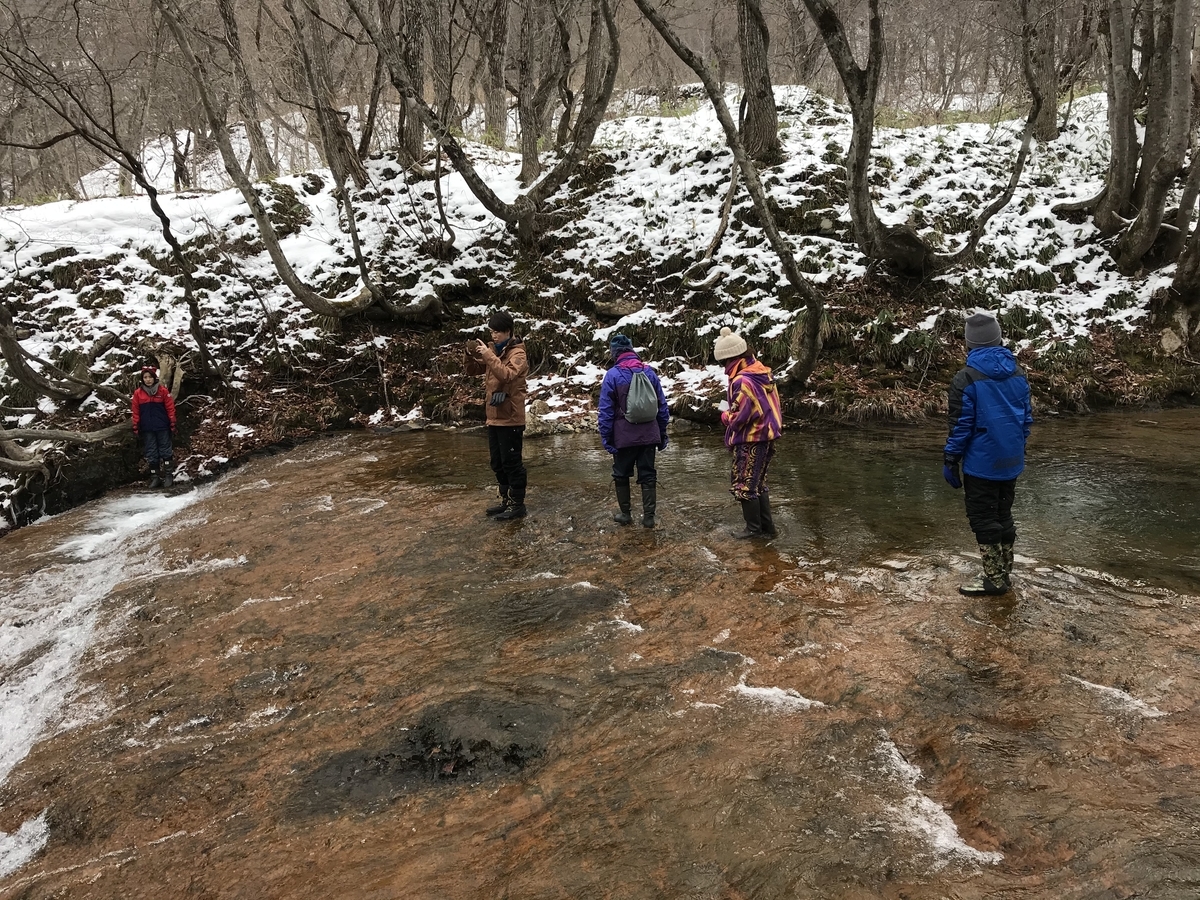 f:id:apros711:20200206134337j:plain