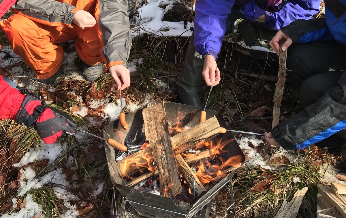 f:id:apros711:20200206134411j:plain