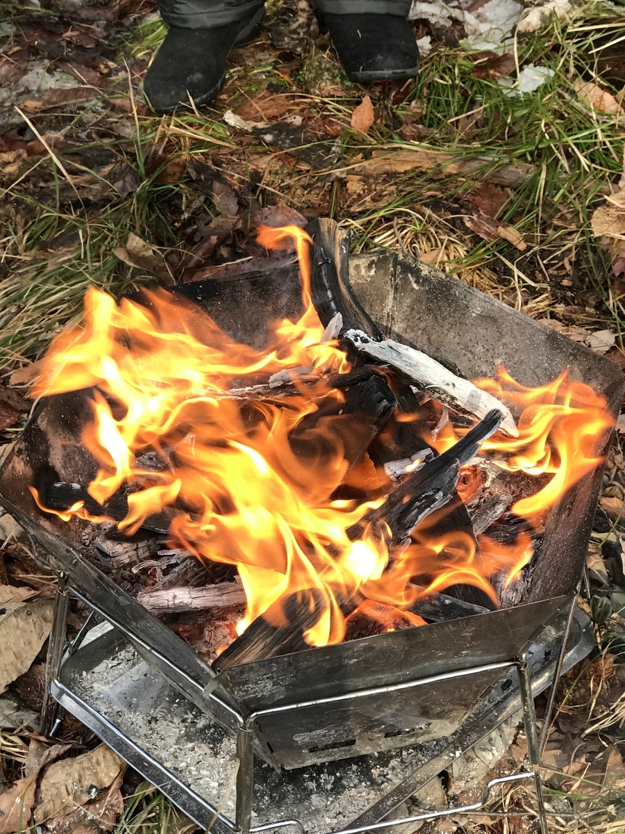 f:id:apros711:20200206134730j:plain