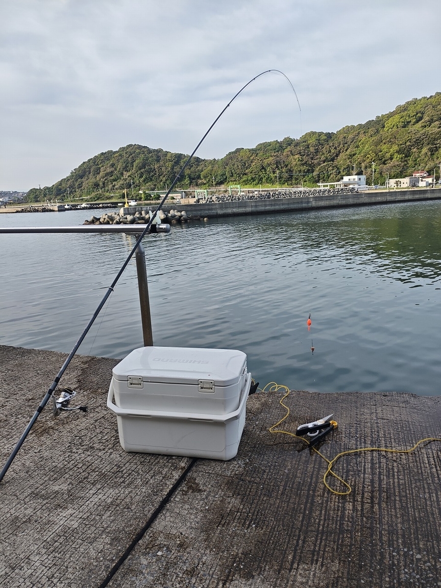 サビキ釣り竿：シマノ ホリデー磯 2号 400 - チラシの裏