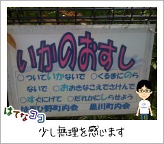 20100503105541