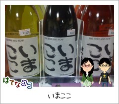 20100504115151
