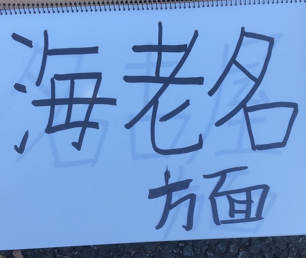 f:id:aqua-cat-blue:20181103214959j:plain