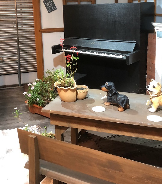 f:id:aqua-cat-blue:20181103220320j:plain