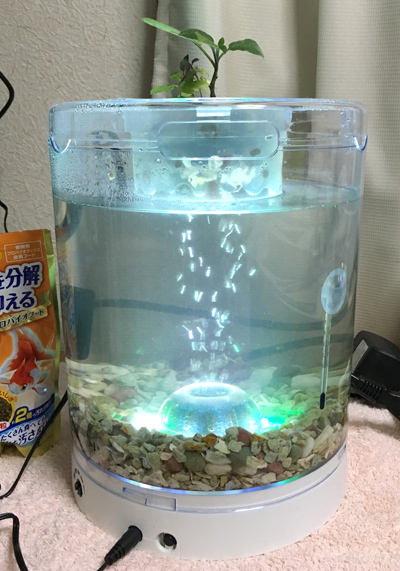 f:id:aqua2018:20171222222033j:plain