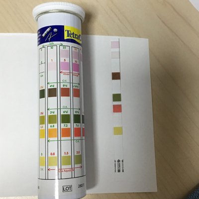 失敗から学ぶ アクアポニックス徒然草