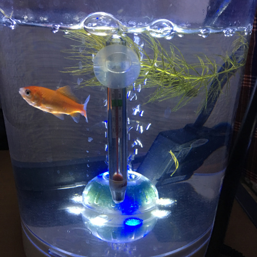 f:id:aqua2018:20190228230034j:plain f:id:aqua2018:20190228230034j:plain