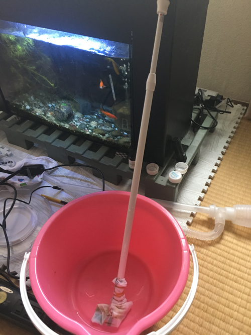 f:id:aqua2018:20190304211003j:plain f:id:aqua2018:20190304211003j:plain