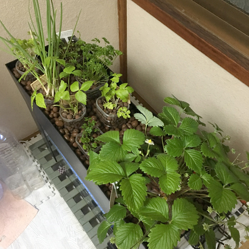 f:id:aqua2018:20190411224624j:plain f:id:aqua2018:20190411224624j:plain