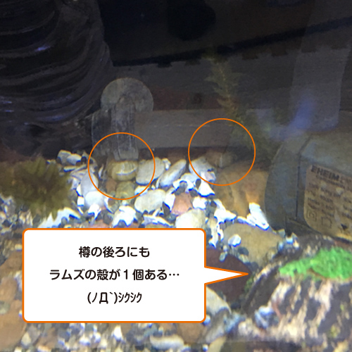 f:id:aqua2018:20190411232034j:plain f:id:aqua2018:20190411232034j:plain