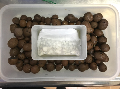 f:id:aqua2018:20190514010941j:plain f:id:aqua2018:20190514010941j:plain